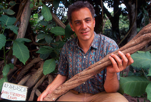Jacques Mabit liana ayahuasca