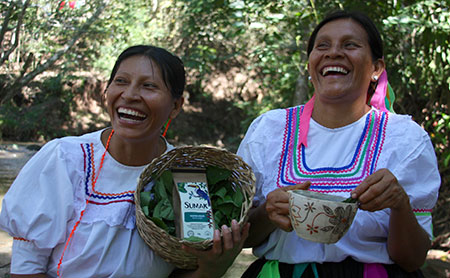 Biodiversidad, medicina tradicional amazónica y distribución de los beneficios