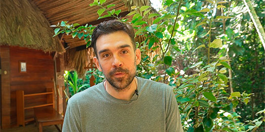Testimonial of a Participant in a Retreat/Diet with Master Plants